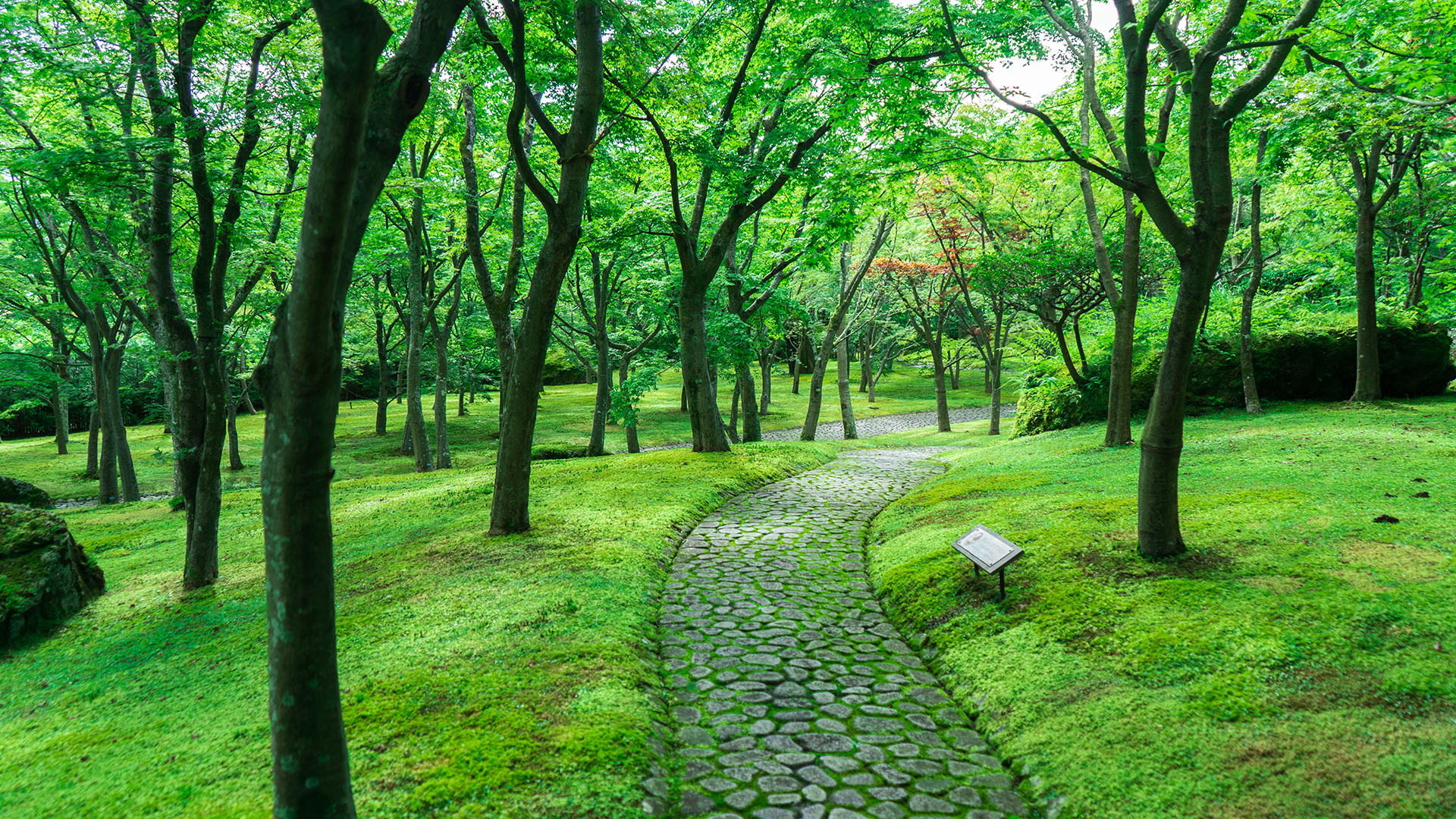 箱根美術館・神仙郷について